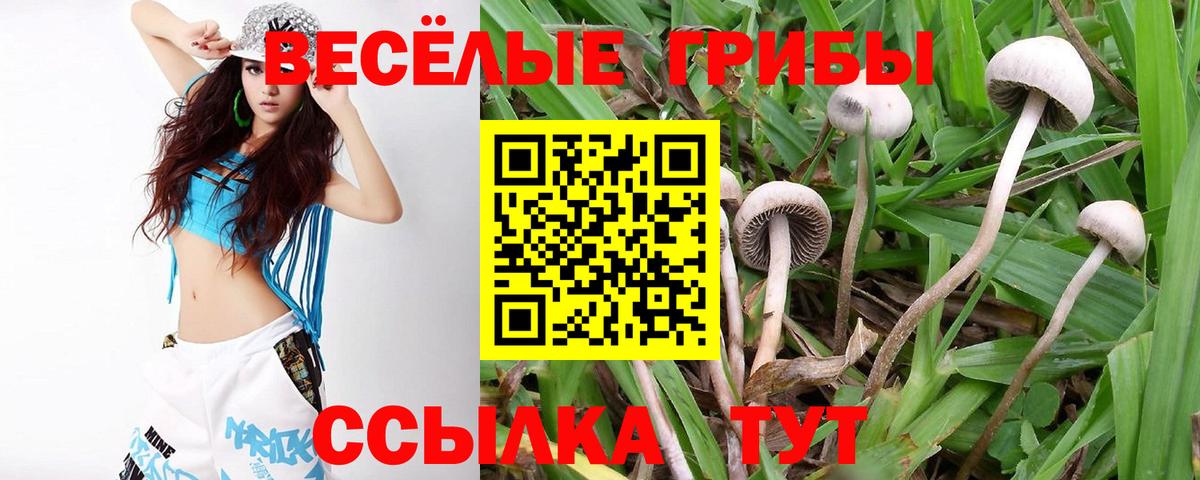 как найти закладки  Вход с VPN  Ленинск-Кузнецкий  Галлюциногенные грибы прущие грибы 